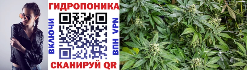 Купить  Алейск  Шишки марихуана Amnesia 